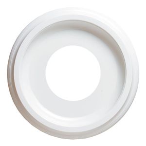 Westinghouse Lighting 7703700 Ceiling Medallion 10-Inch White