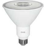 rab_par38_12_930_40d_dim_dimmable_par38_shatterproof_led_lamp_e26_medium_base_12_watt_950_lumens_90_cri_3000k_warm_white_862026